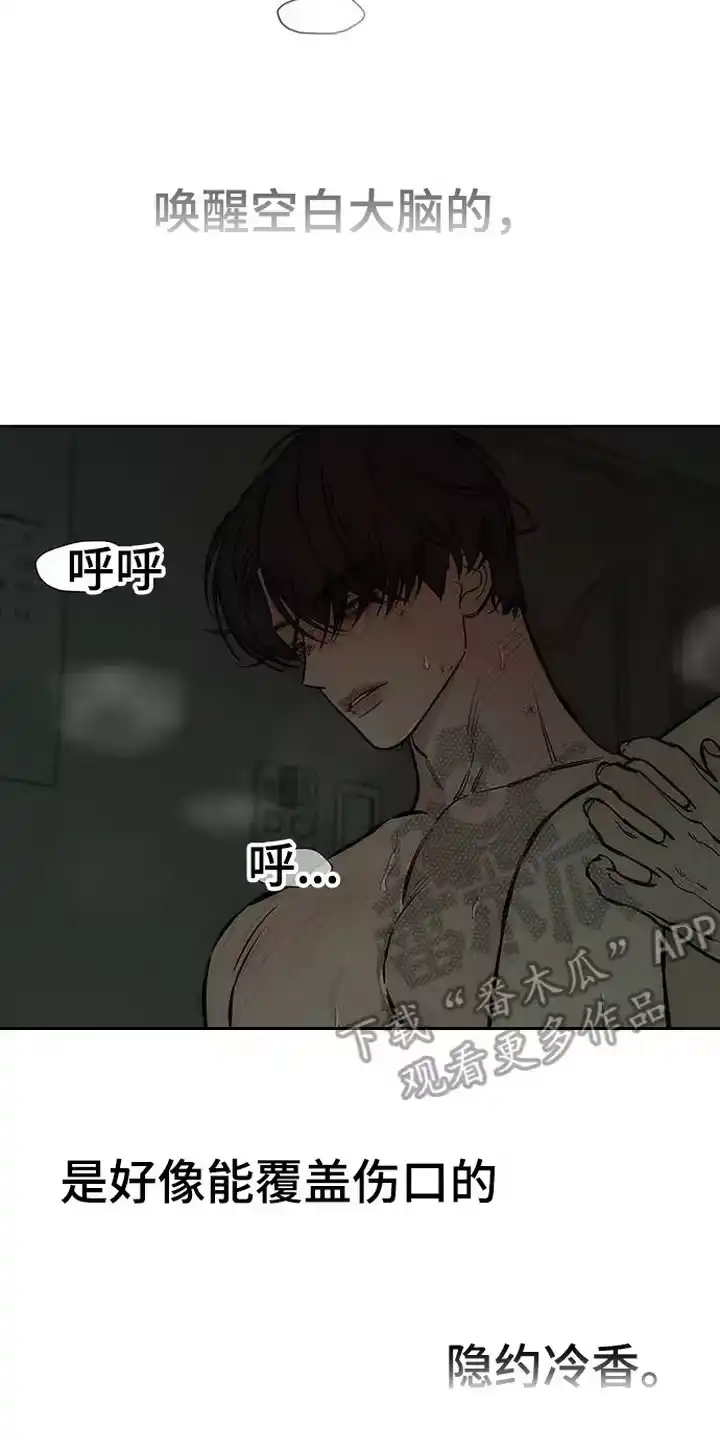 枯萎的花伤心的泪_h 第96章：呼吸灼热 第14页