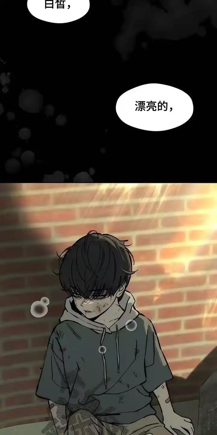 枯萎的花伤心的泪_h 第109章：绝对不能被发现 第8页