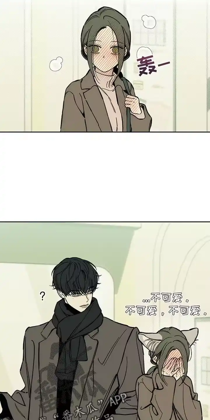 枯萎的花伤心的泪_h 第111章：我有存款 第13页