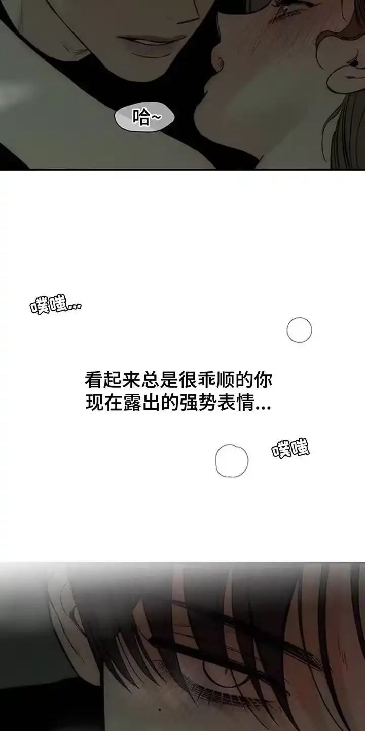 枯萎的花伤心的泪_h 第122章：我喜欢你 第11页