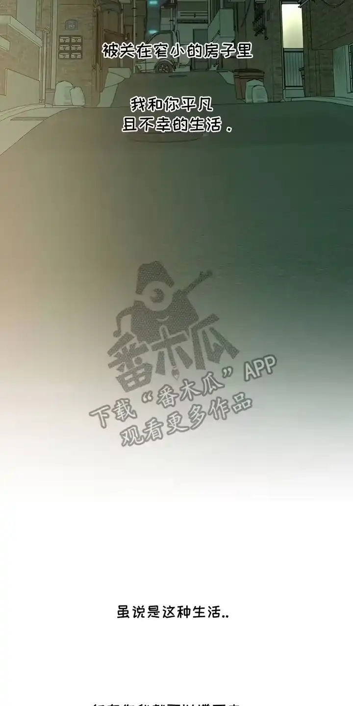 枯萎的花伤心的泪_h 第12章：新奇体验 第8页