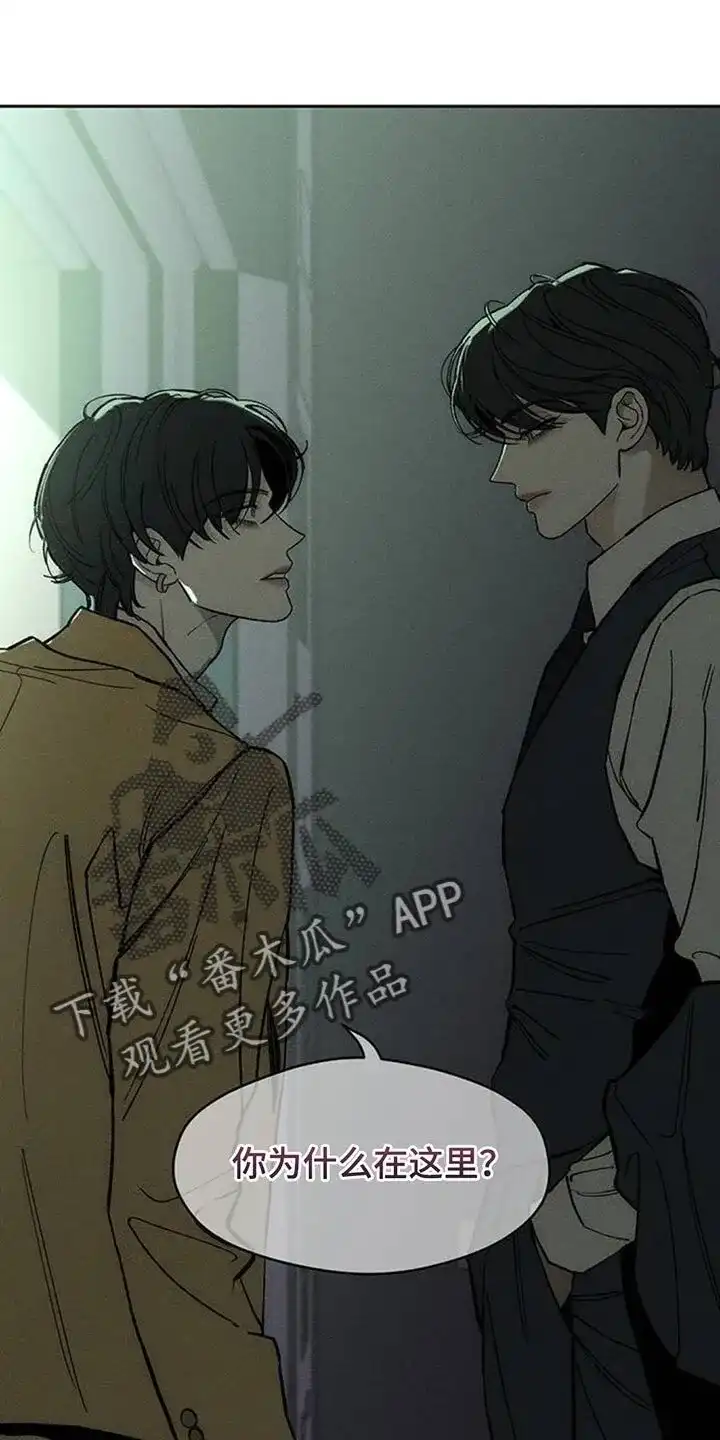 枯萎的花伤心的泪_h 第133章：你一定会后悔的 第11页