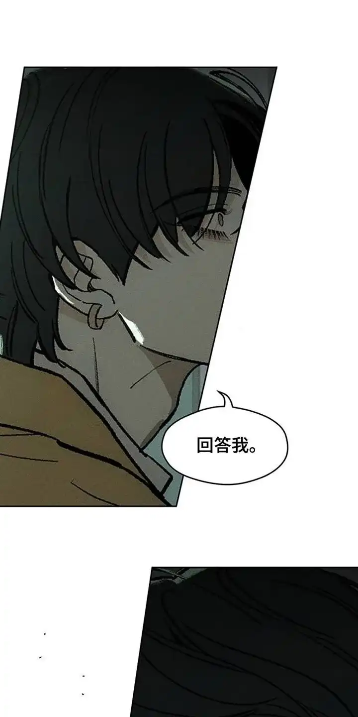 枯萎的花伤心的泪_h 第133章：你一定会后悔的 第13页