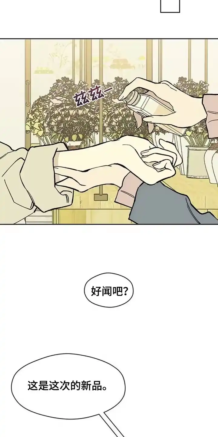 枯萎的花伤心的泪_h 第137章：我不打算给你 第11页