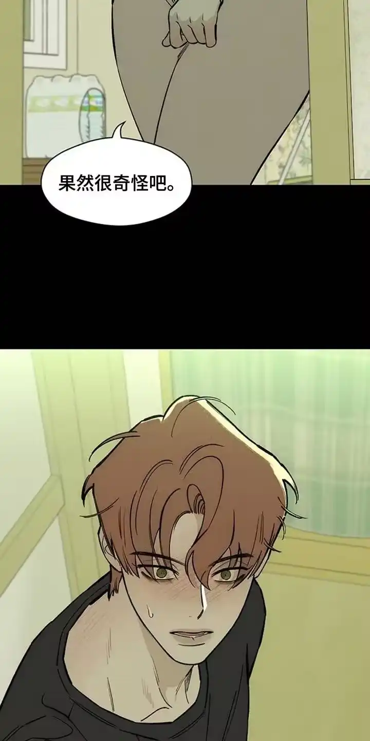 枯萎的花伤心的泪_h 第142章：不再说冬天冷 第19页