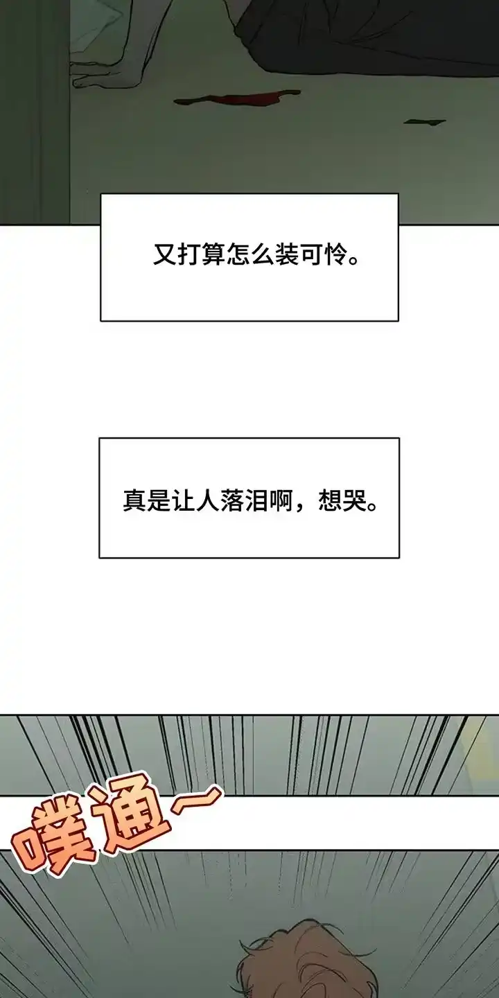 枯萎的花伤心的泪_h 第146章：我已经给过你机会了 第17页