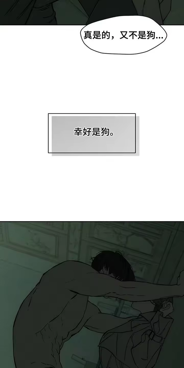 枯萎的花伤心的泪_h 第152章：幸好是狗 第17页