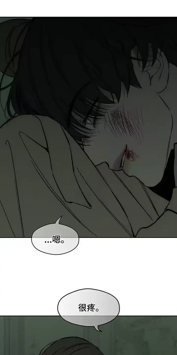 枯萎的花伤心的泪_h 第152章：幸好是狗 第8页