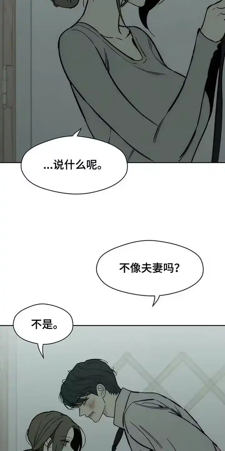 枯萎的花伤心的泪_h 第154章：骗人 第10页