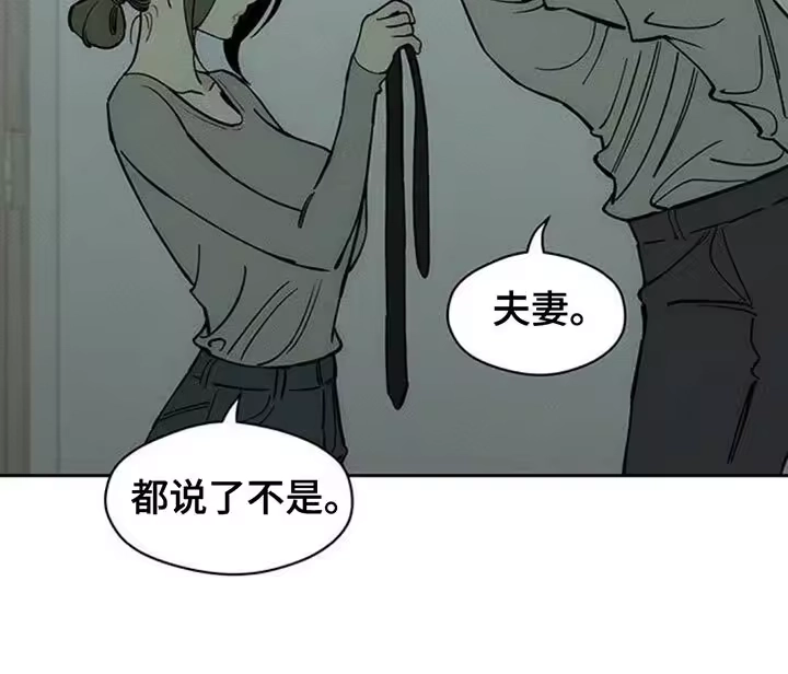 枯萎的花伤心的泪_h 第154章：骗人 第11页