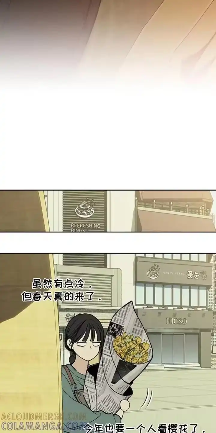 枯萎的花伤心的泪_h 第157章：祝你幸福 第13页
