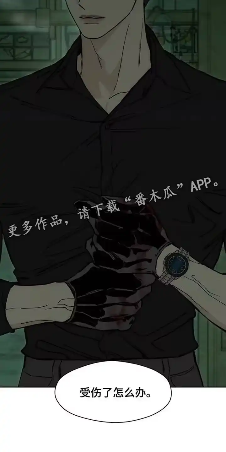 枯萎的花伤心的泪_h 第163章：焦躁的视线 第28页
