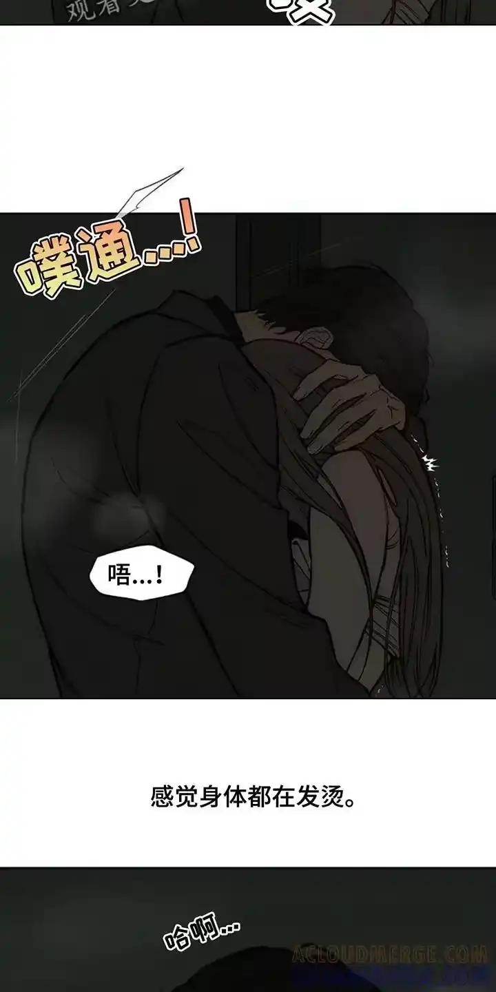 枯萎的花伤心的泪_h 第165章：也许会被发现 第17页