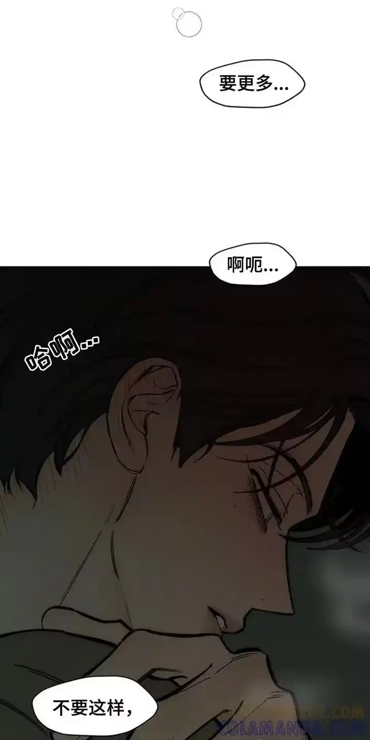 枯萎的花伤心的泪_h 第165章：也许会被发现 第19页