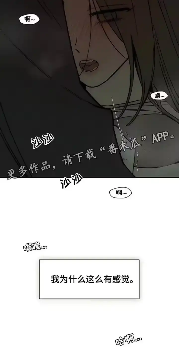 枯萎的花伤心的泪_h 第165章：也许会被发现 第24页