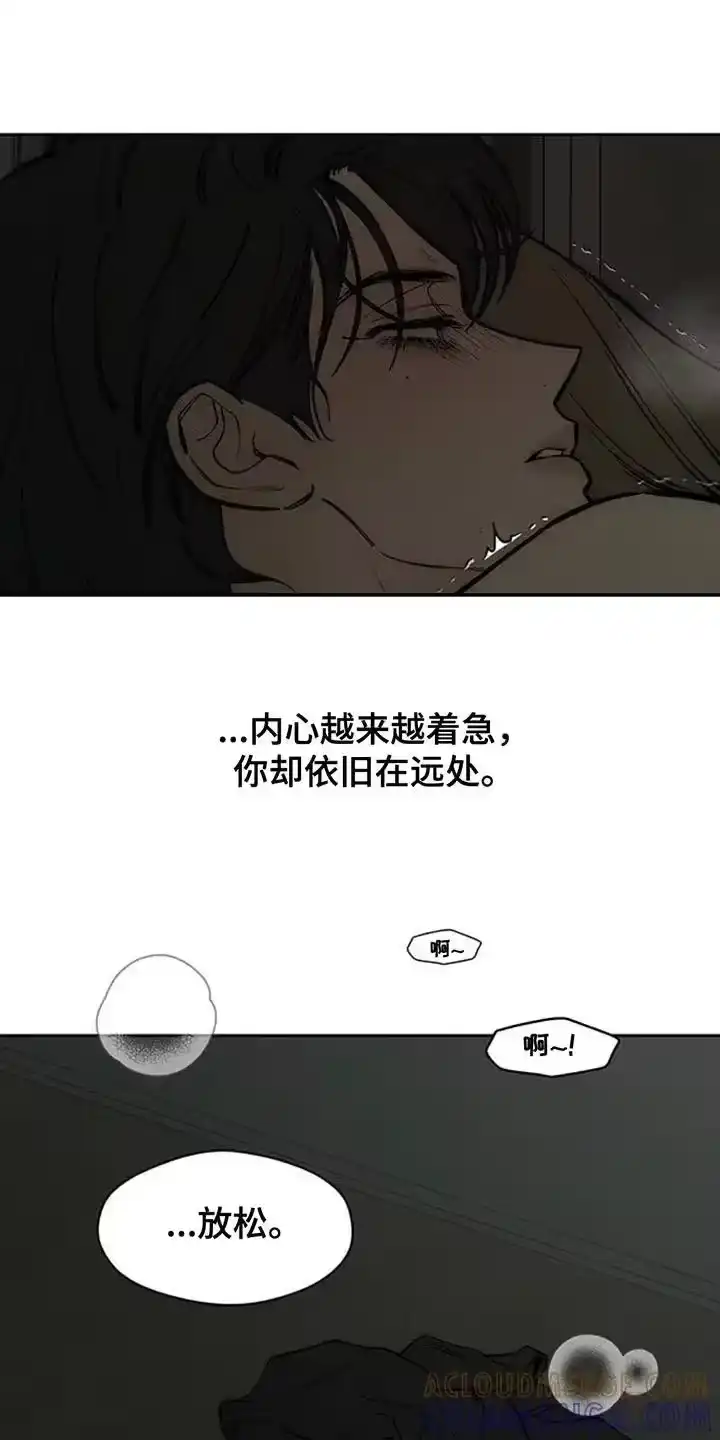 枯萎的花伤心的泪_h 第166章：为了快点厌倦 第23页