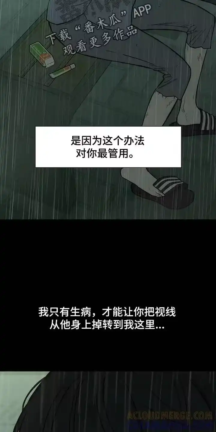 枯萎的花伤心的泪_h 第168章：不要再受伤 第13页