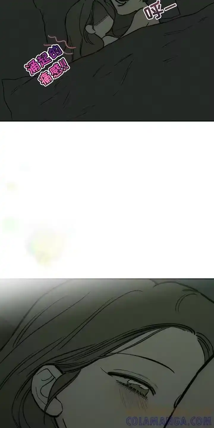枯萎的花伤心的泪_h 第168章：不要再受伤 第19页
