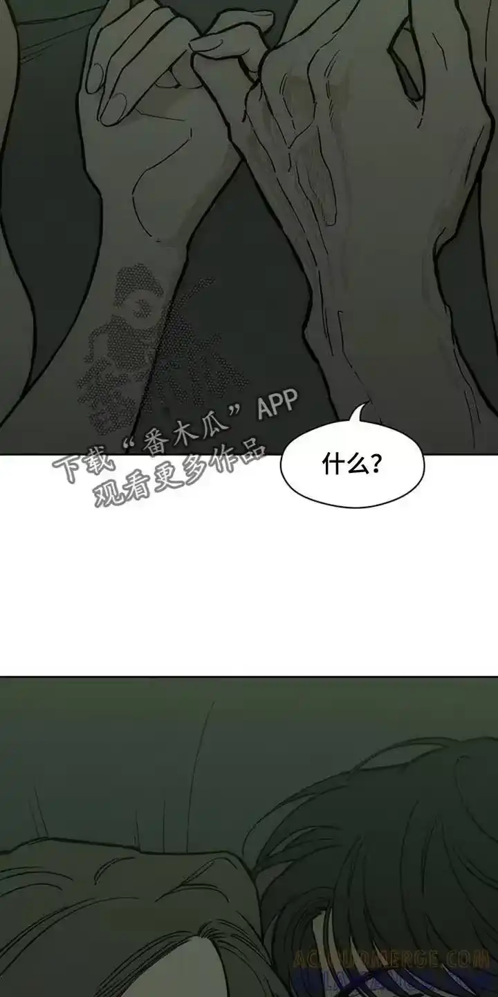 枯萎的花伤心的泪_h 第168章：不要再受伤 第7页