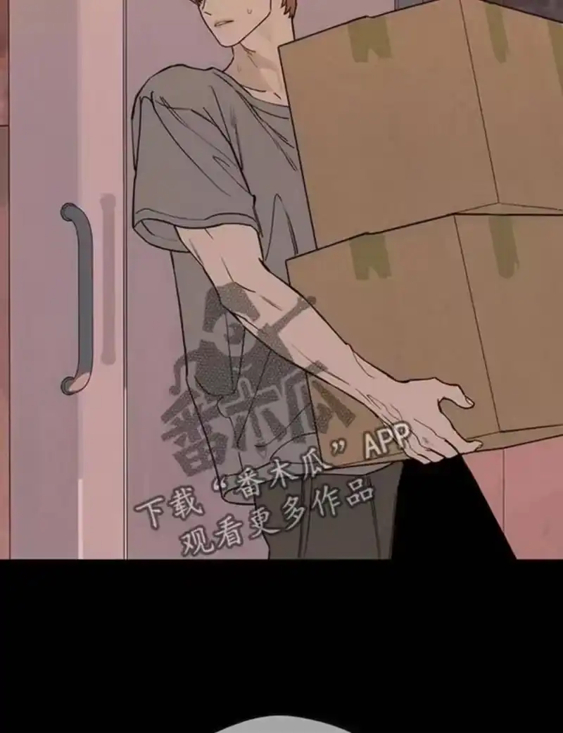 枯萎的花伤心的泪_h 第183章：他因为你放弃了什么 第36页