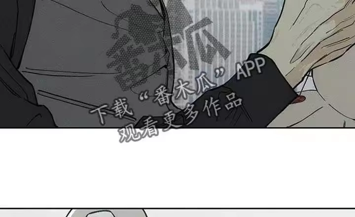 枯萎的花伤心的泪_h 第190章：变得有趣了 第2页