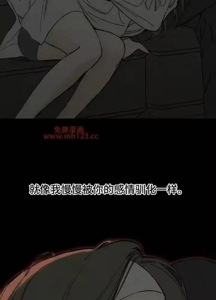 枯萎的花伤心的泪_h 第191章：我让你站住 第17页