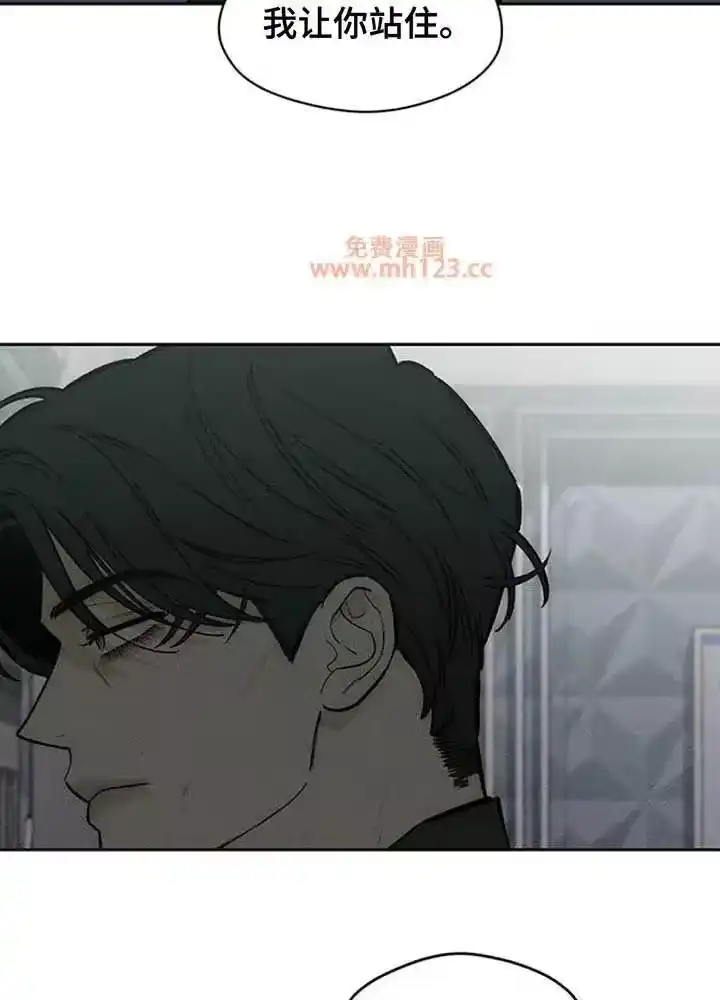 枯萎的花伤心的泪_h 第191章：我让你站住 第46页