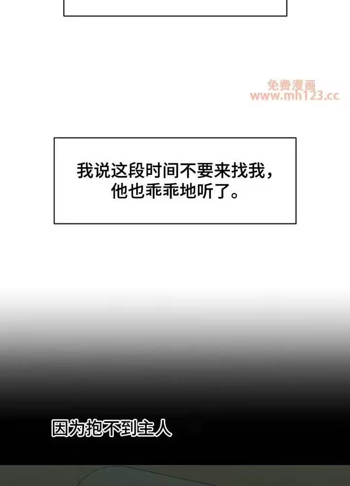 枯萎的花伤心的泪_h 第191章：我让你站住 第7页