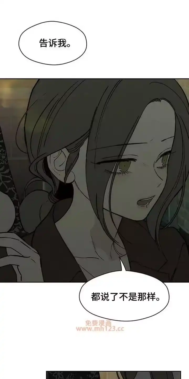 枯萎的花伤心的泪_h 第201章：和你没关系 第19页