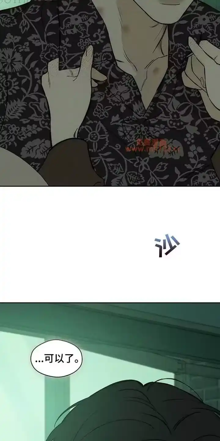 枯萎的花伤心的泪_h 第196章：谁派你来的 第12页