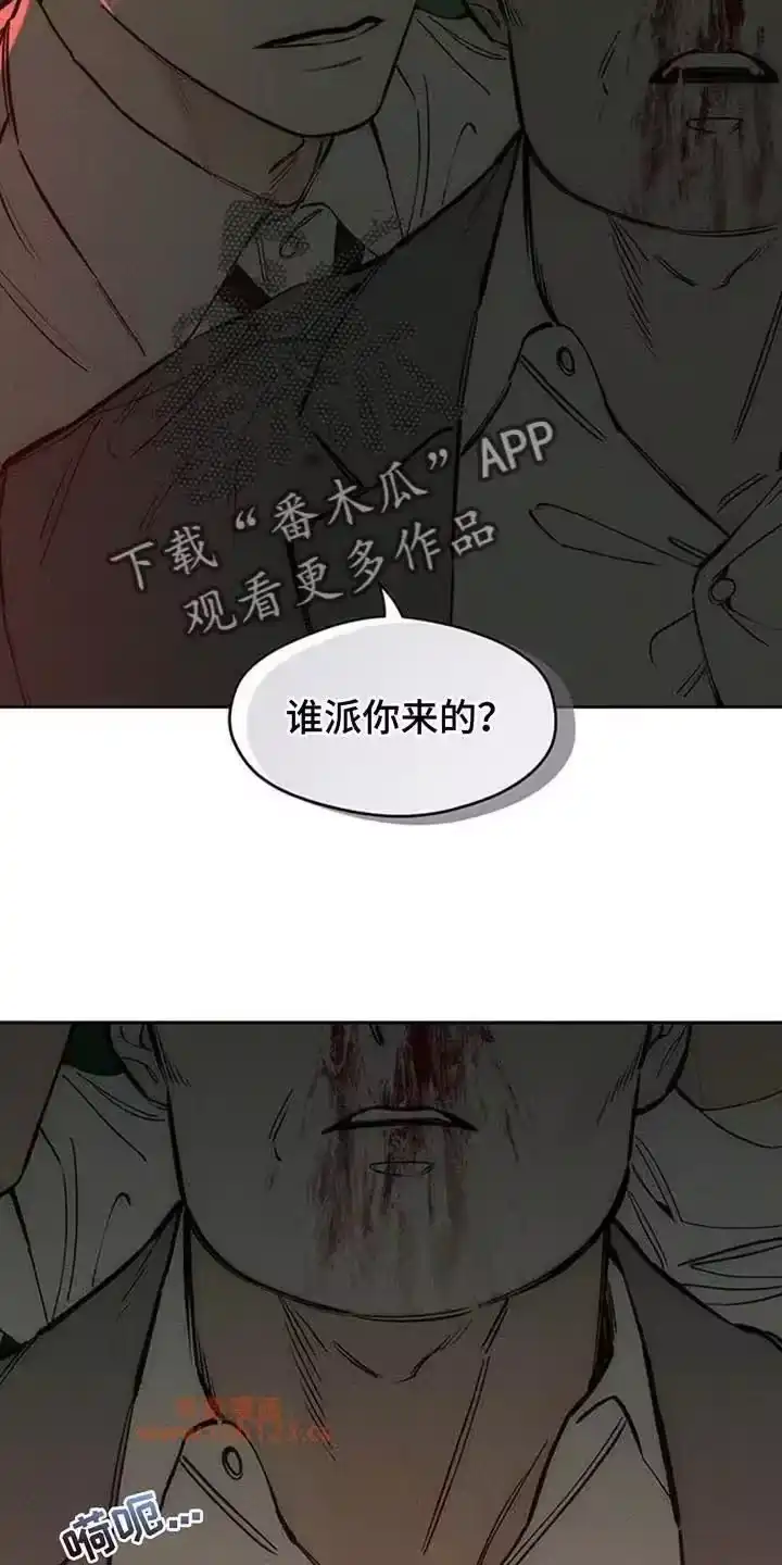 枯萎的花伤心的泪_h 第196章：谁派你来的 第28页