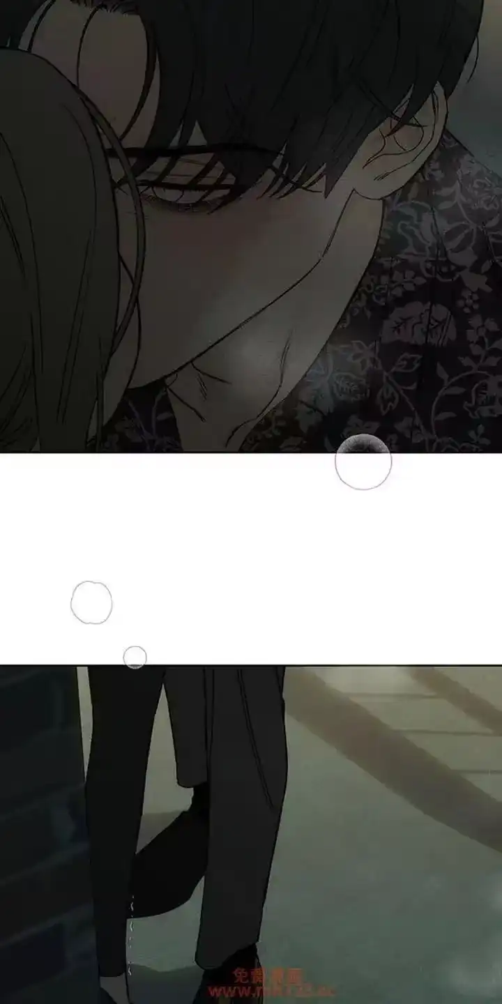 枯萎的花伤心的泪_h 第202章：没有否认 第16页