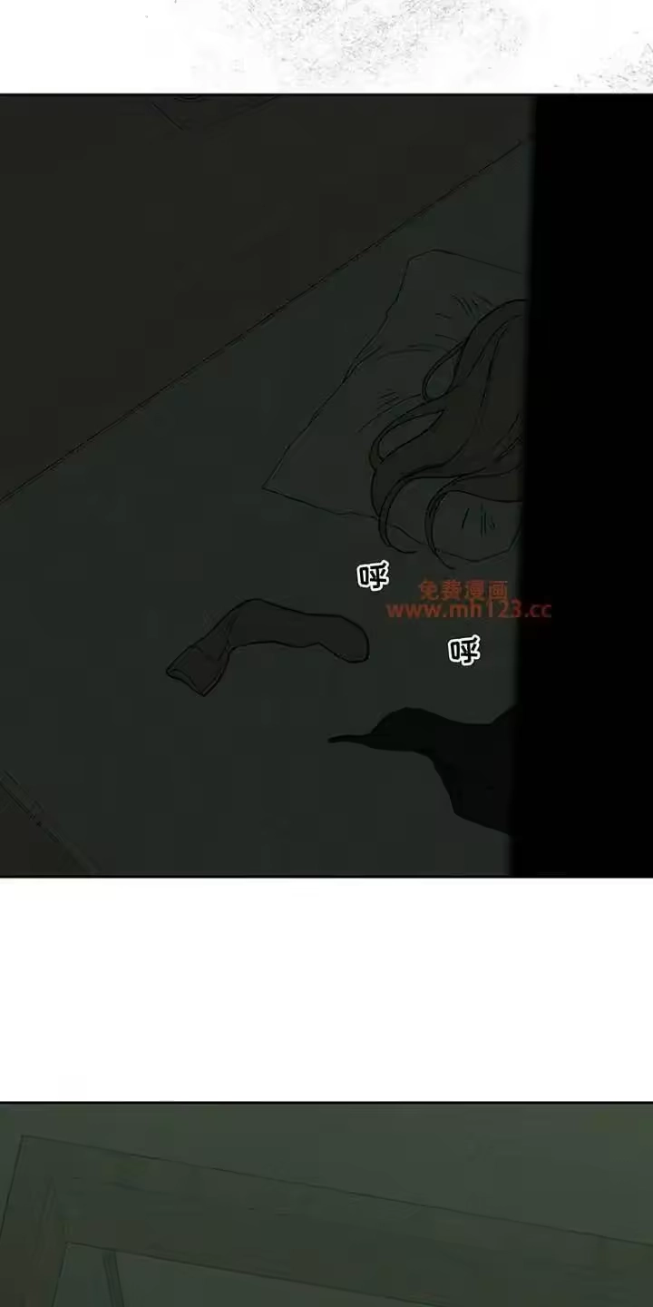 枯萎的花伤心的泪_h 第206章：希望你带着我逃跑 第28页