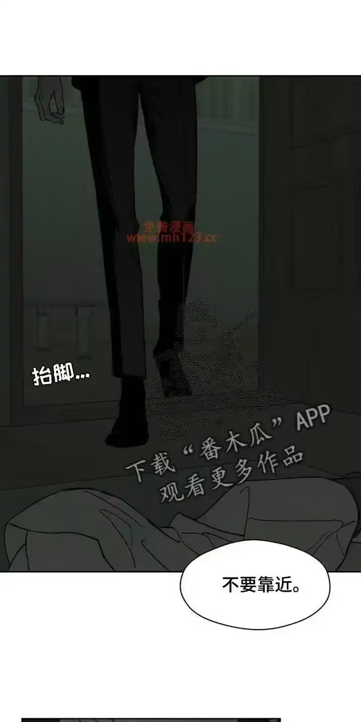 枯萎的花伤心的泪_h 第207章：我在梦里也撒谎了 第1页