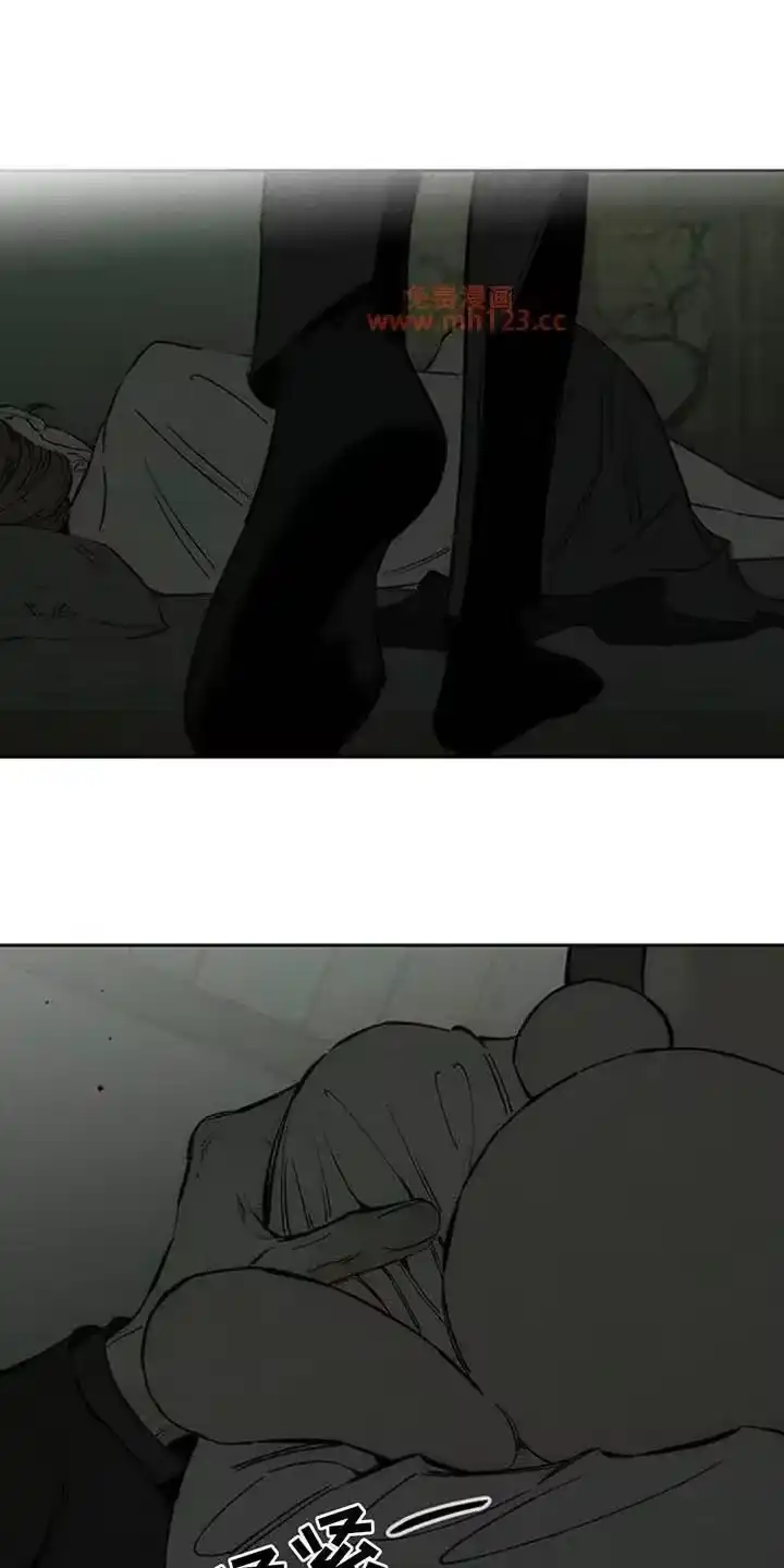 枯萎的花伤心的泪_h 第207章：我在梦里也撒谎了 第13页