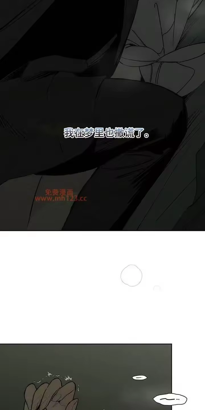 枯萎的花伤心的泪_h 第207章：我在梦里也撒谎了 第22页