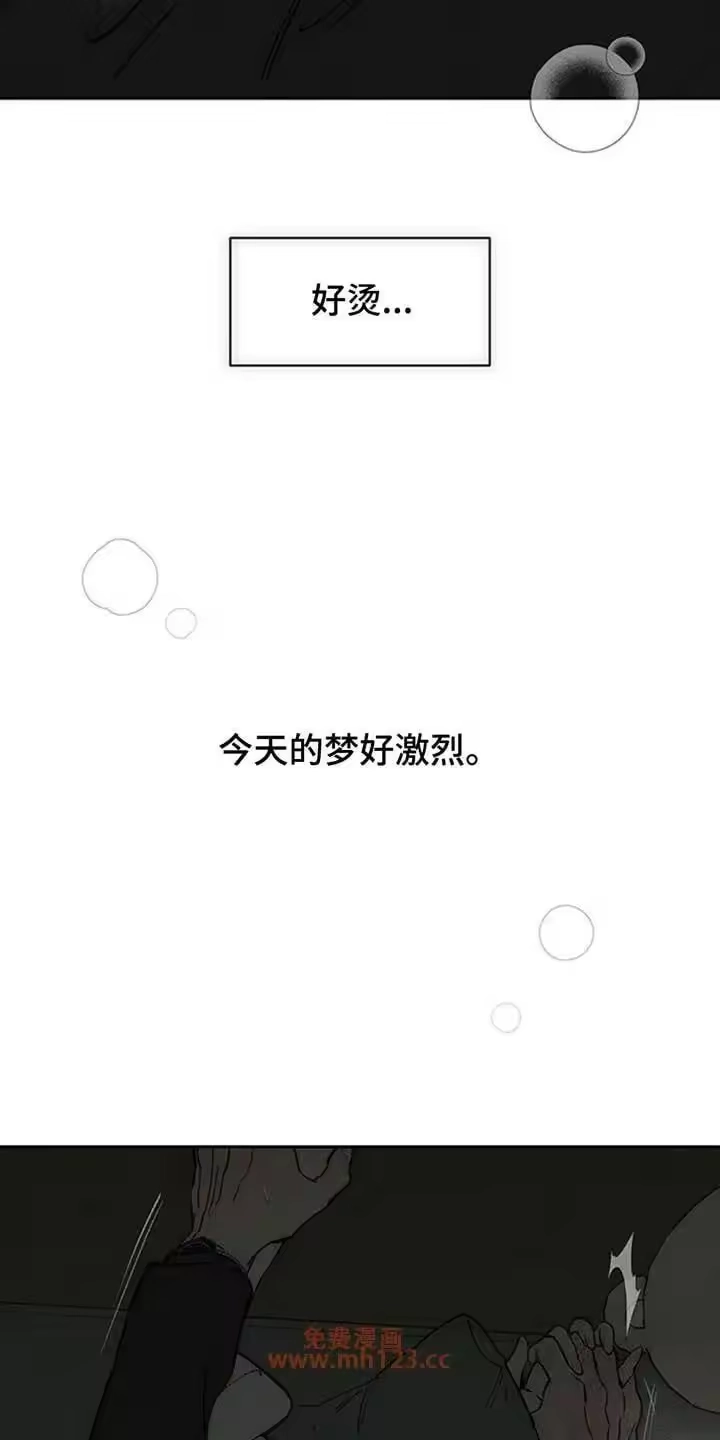枯萎的花伤心的泪_h 第207章：我在梦里也撒谎了 第25页