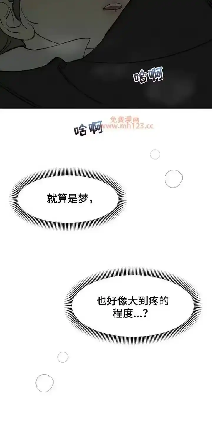 枯萎的花伤心的泪_h 第207章：我在梦里也撒谎了 第27页