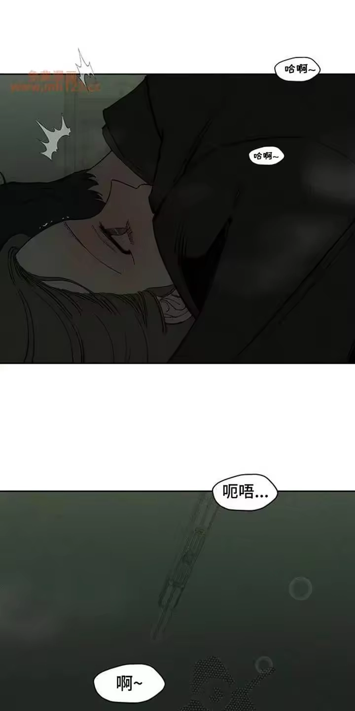 枯萎的花伤心的泪_h 第207章：我在梦里也撒谎了 第28页