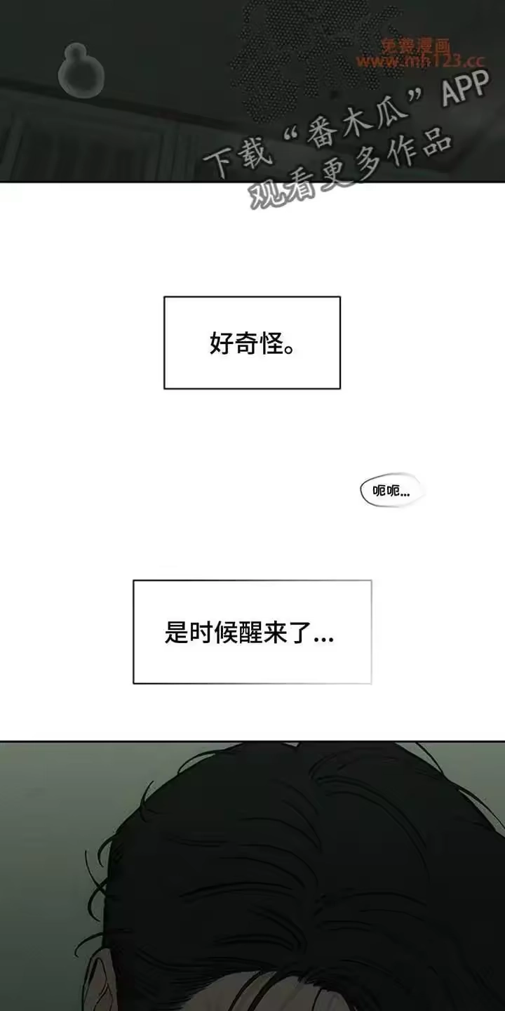 枯萎的花伤心的泪_h 第207章：我在梦里也撒谎了 第29页