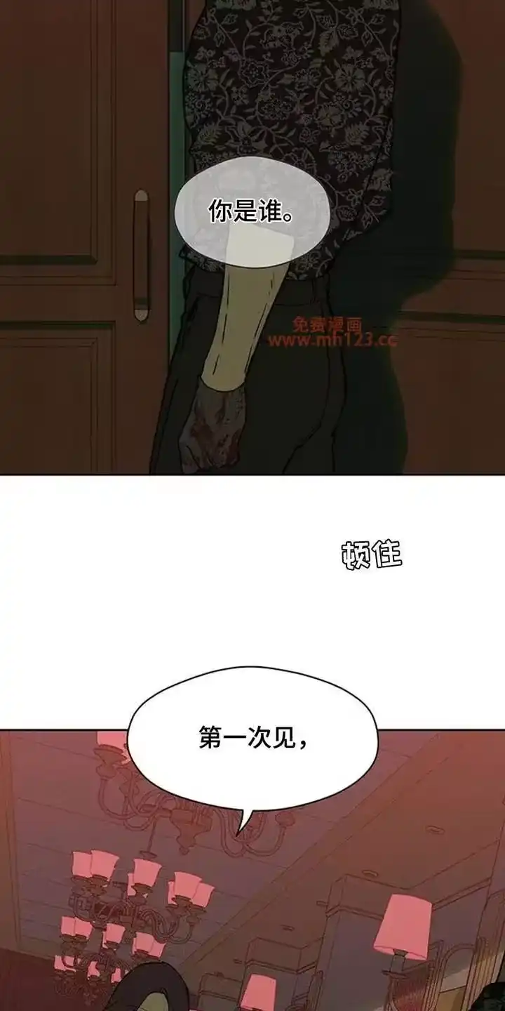 枯萎的花伤心的泪_h 第232章：一看就知道 第17页