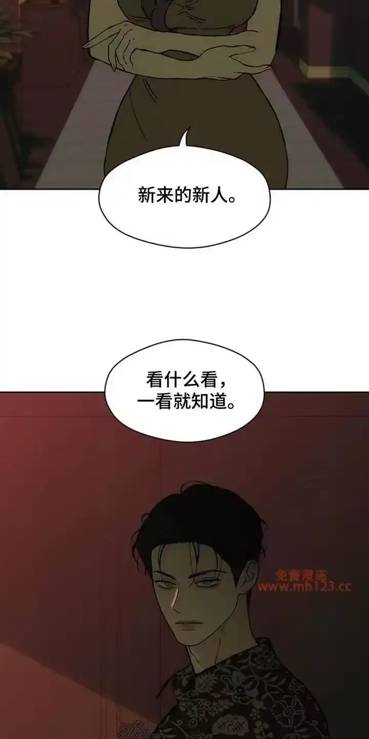 枯萎的花伤心的泪_h 第232章：一看就知道 第22页