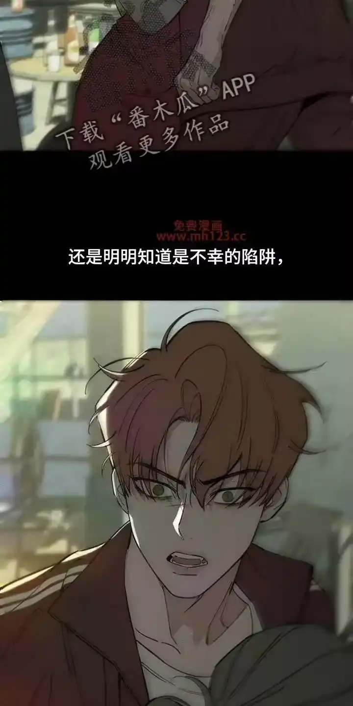 枯萎的花伤心的泪_h 第218章：不详的预感 第9页