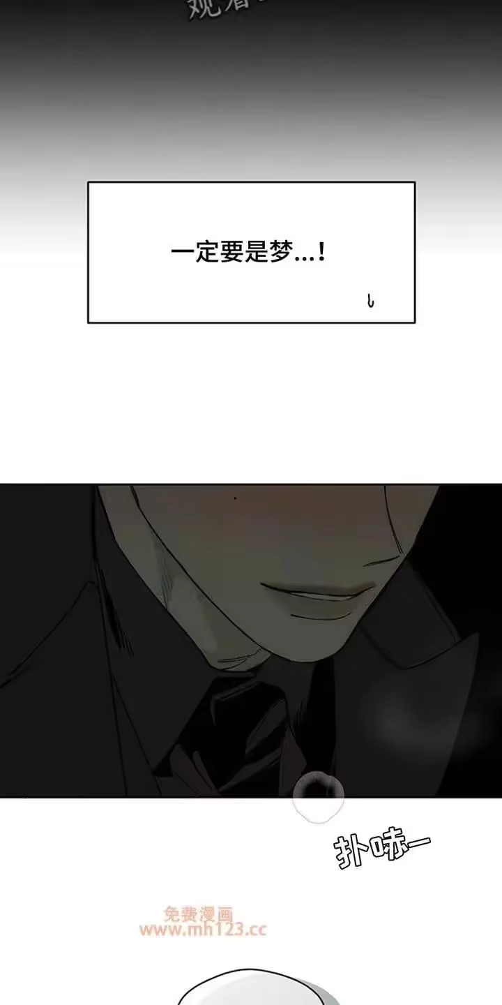 枯萎的花伤心的泪_h 第208章：太难过了 第11页