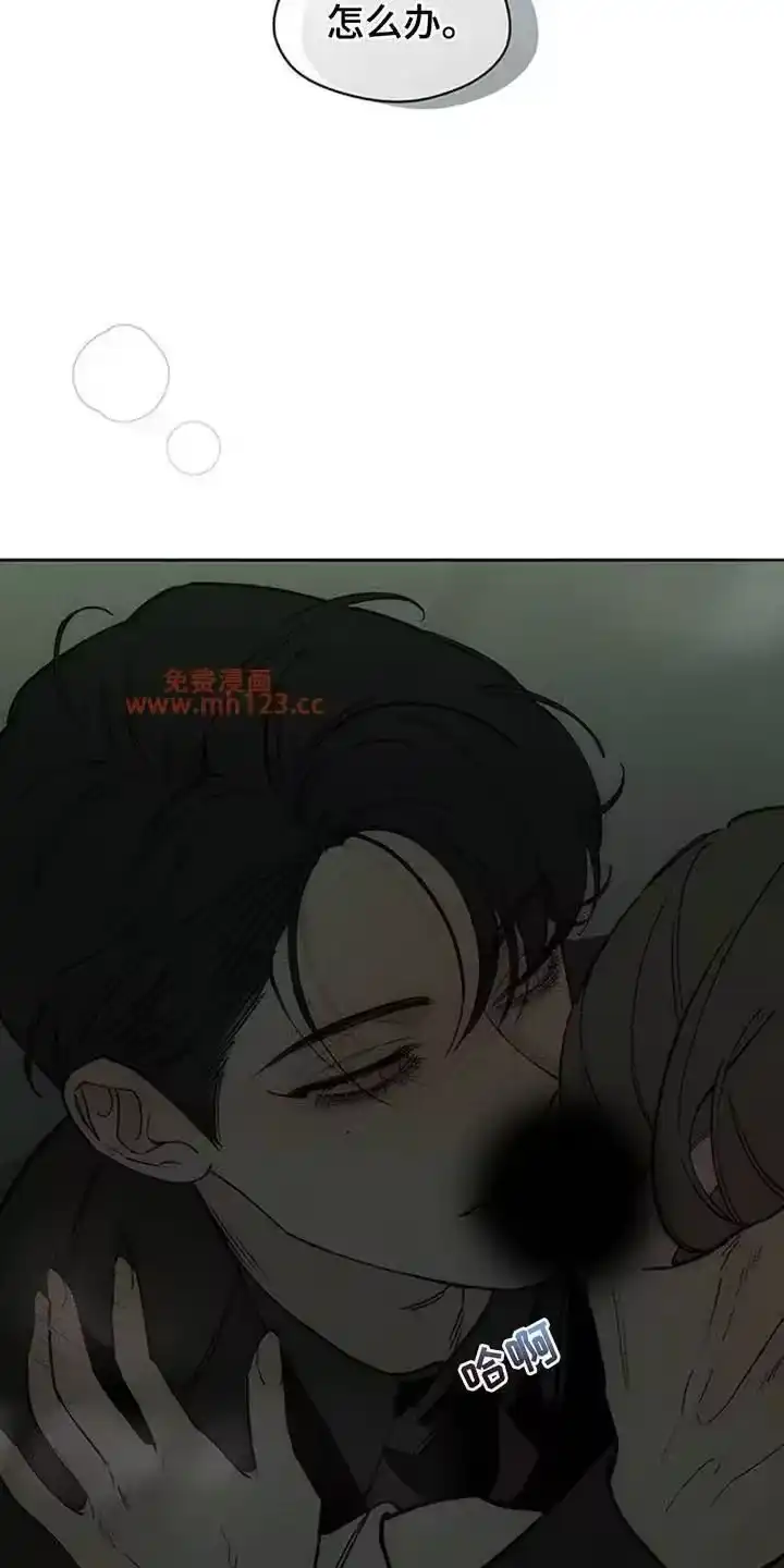 枯萎的花伤心的泪_h 第208章：太难过了 第12页