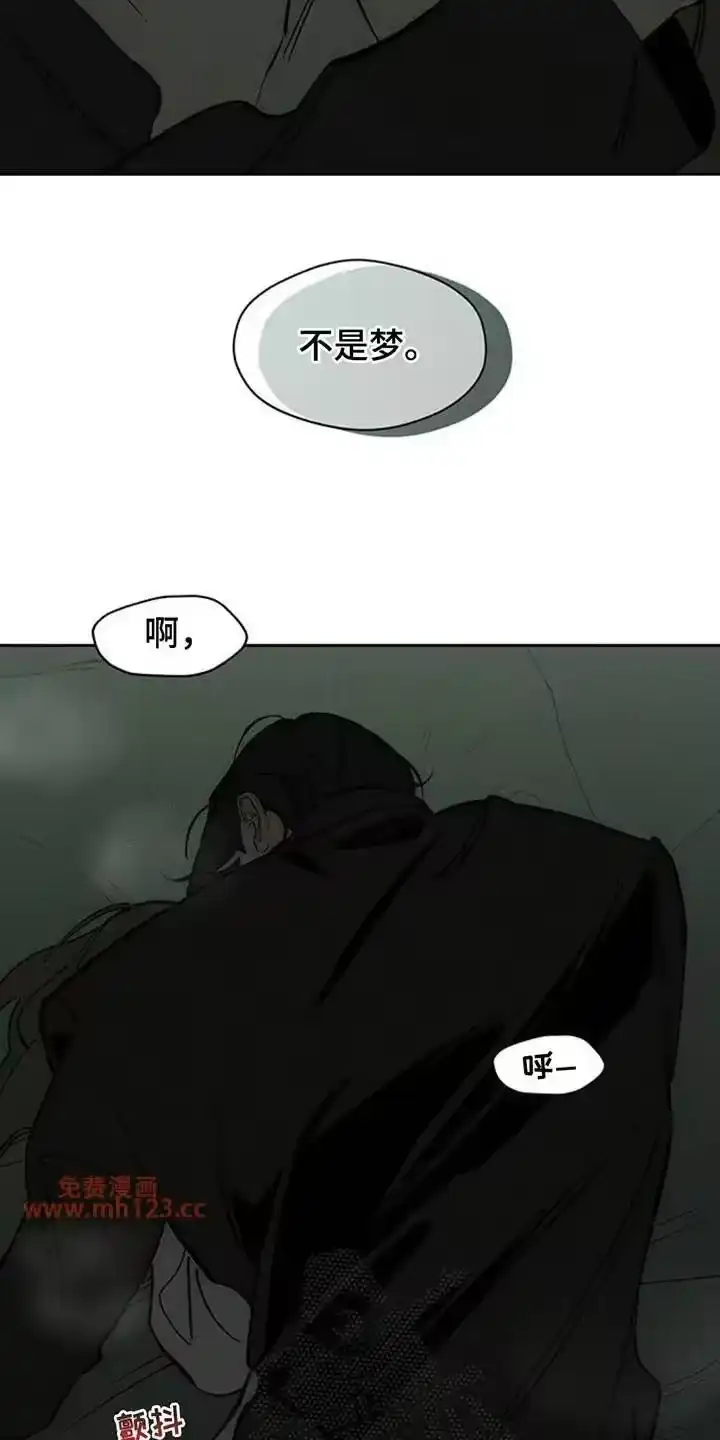 枯萎的花伤心的泪_h 第208章：太难过了 第13页