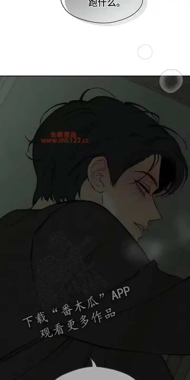 枯萎的花伤心的泪_h 第208章：太难过了 第17页