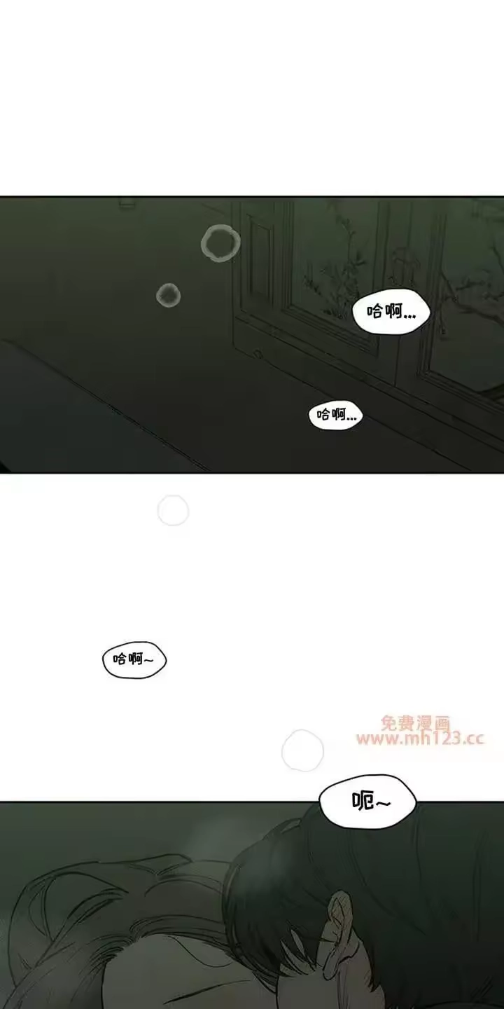 枯萎的花伤心的泪_h 第209章：你不是我的菜 第1页