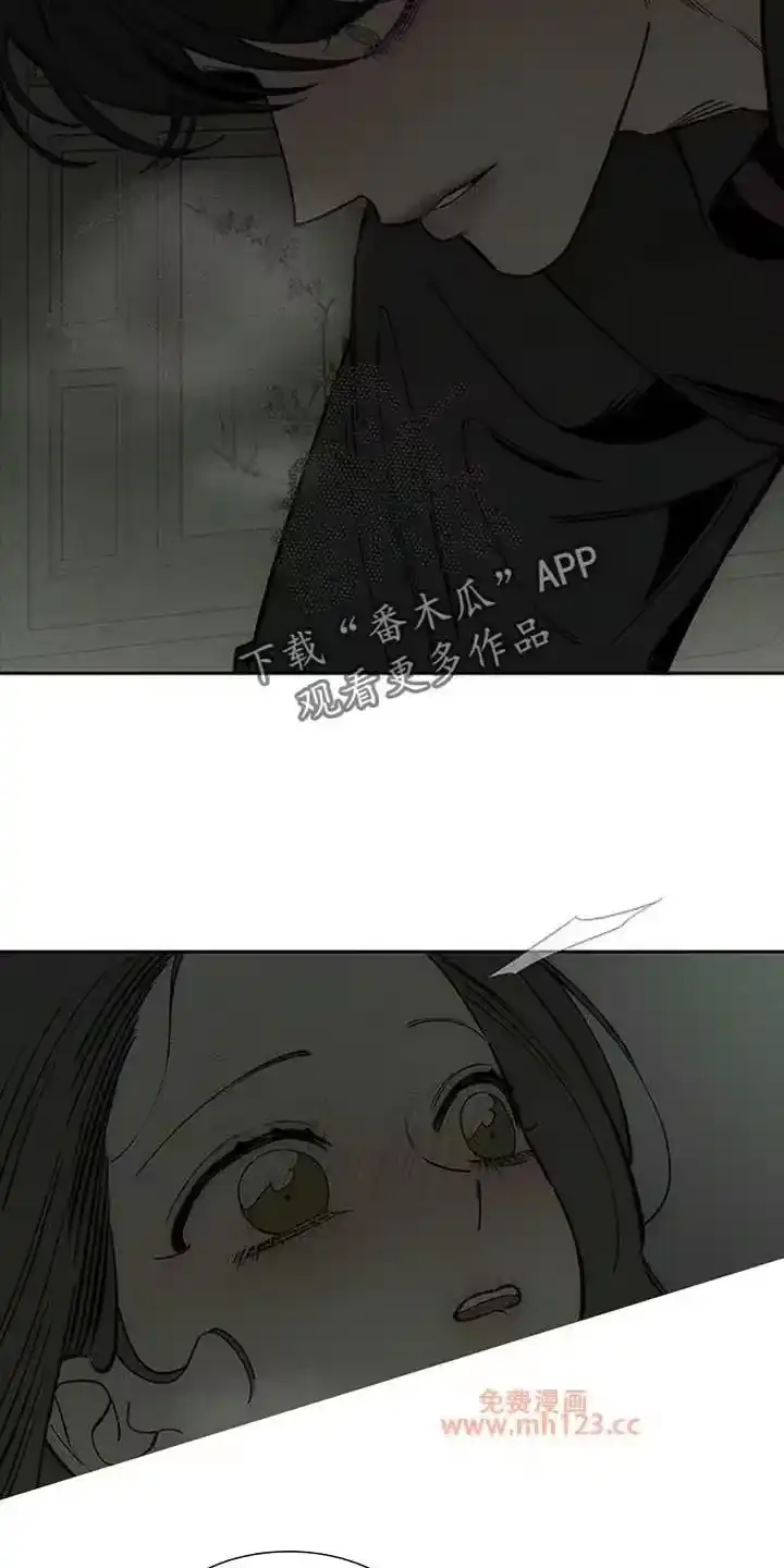 枯萎的花伤心的泪_h 第209章：你不是我的菜 第11页