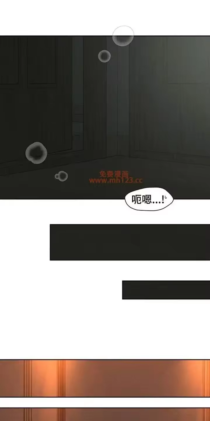 枯萎的花伤心的泪_h 第209章：你不是我的菜 第13页